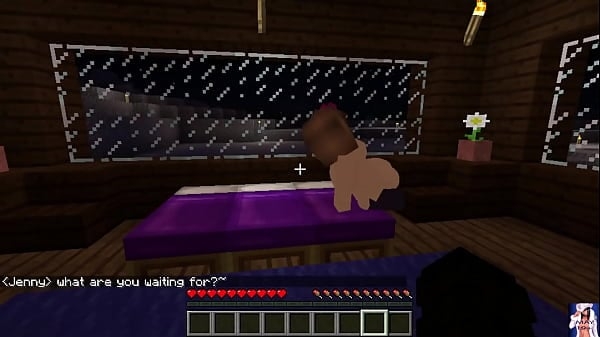 Minecraft - I Call Jenny to Observe Netflix but I Havent Netflix Part:2 [3D, Cartoon, Games, Minecraft]