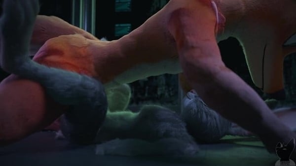 Nick Wilde Destroying Judy Hopps [Furry, Zootopia]