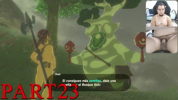 La Leyenda De Zelda Aliento Salvaje Edicion Desnuda Camara Polla Gameplay 23 [Games, Legend of Zelda]