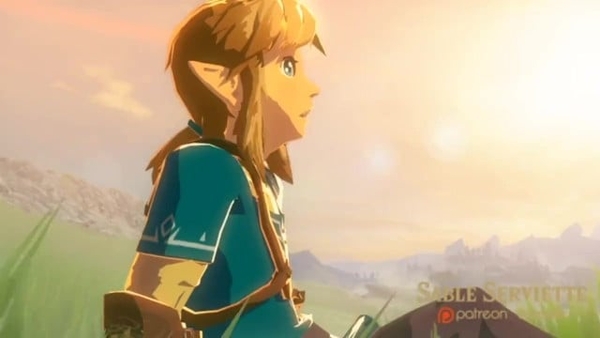 3d Anime Legend Of Zelda Breath Of The Crazy and Link [Legend of Zelda]