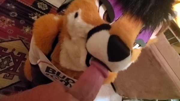 Furries Memes Clips Furry Yiff [Furry]