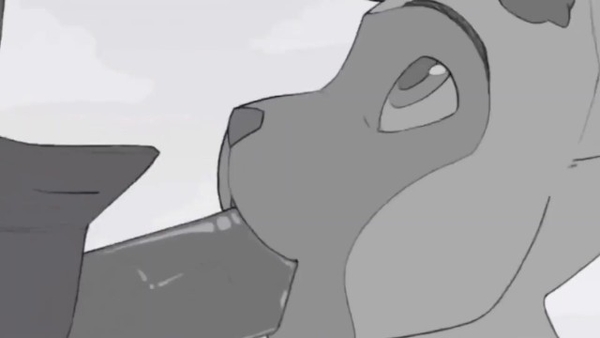 Furry Porn Best Straight Animations 2019 [Compilation, Furry]