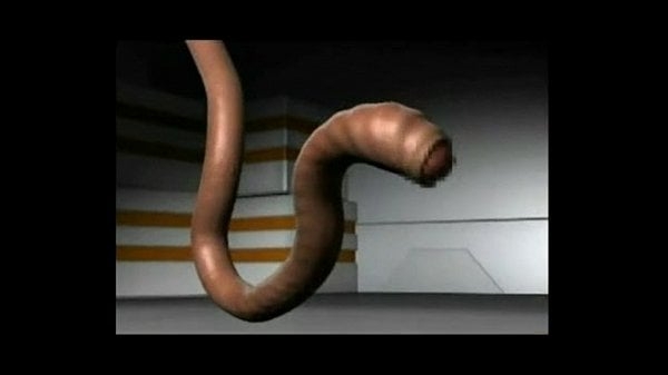 Beyond Hentai 3d Monster 440 [3D, Hentai, Monster]
