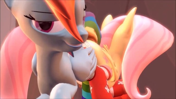 MLP - Ass 2 Ass Flutter Dash [My Young Pony (MLP)]