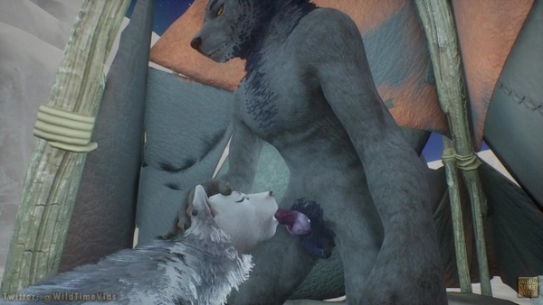 Furry Fuck Grey And White Wolf [Furry, Wild Life, Yiff]