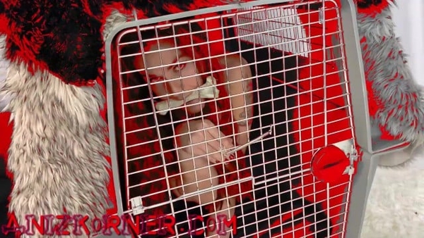 Deluxxx Intro To Groupie Dog Slut Part 2 - Fun Filthy Freebie [Zootopia]