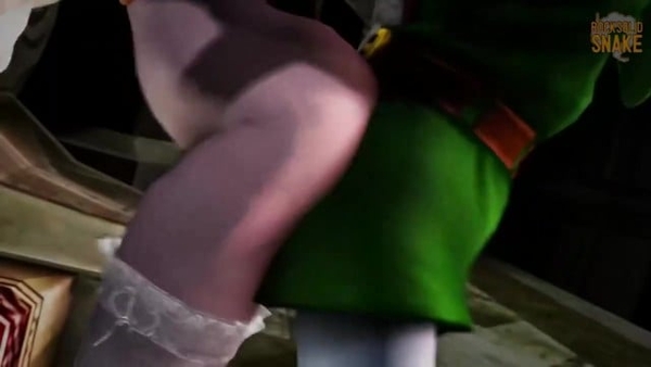 Links Reward From Zelda [Legend of Zelda]