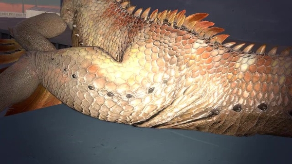 Monster Hunter World Kula-ya-ku Farts [3D, Monster hunter world]