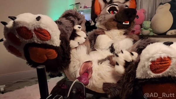 Furry Girl Takes Full Fursuit Fuck Machine Pounding Creampie Only Fans Preview [Furry]