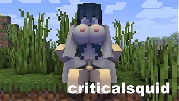 Huge Boobs Chick Gets Fucked [minecraft animation] [Minecraft]