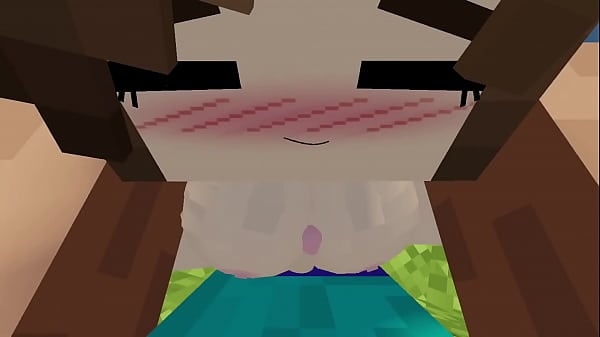 Minecraft - Jenny Sexmod Update 131 Wonderful Boobjob [Games, Minecraft]