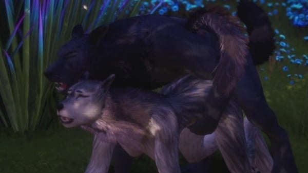 Rahn the Wolf anal Knots Cums inside Female Wolf Wild Life Furries [Werewolf, Wild Life]