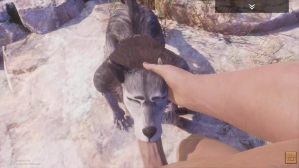 Rasha Furry Wolf Girl Fucks Big Boy [Furry, Hentai, Werewolf, Wild Life]