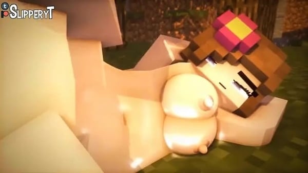 Minecraft Porn Collection (by Slipperyt) [Artists, Compilation, Minecraft]