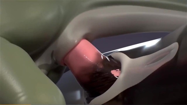 Monster, Monster and Furry Cg Porn 2 [Furry, Monster, Yiff]