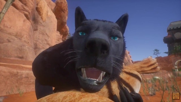 Insane Life Tiger Furry Girl With Wolf (furry Girl Pov) [Furry, Wild Life, Yiff]