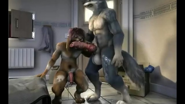 Furry Yiff: Wolve fucks Rabbitt [Furry]