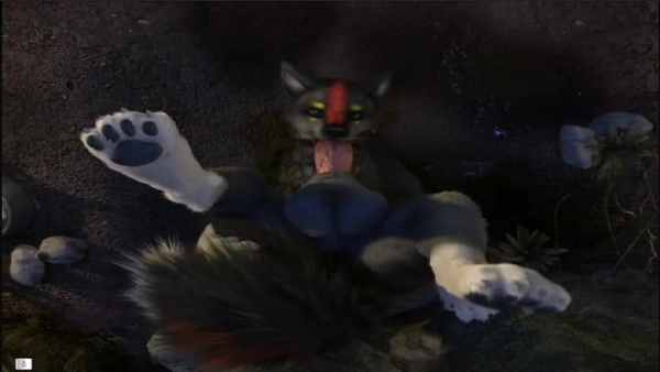 Kage Furry Yiff Porn Animation [Furry, Hentai]