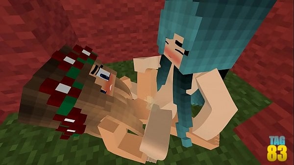 Minecraft Porn Animations 1 By @crazy4toddles [Compilation, Hentai, Minecraft]