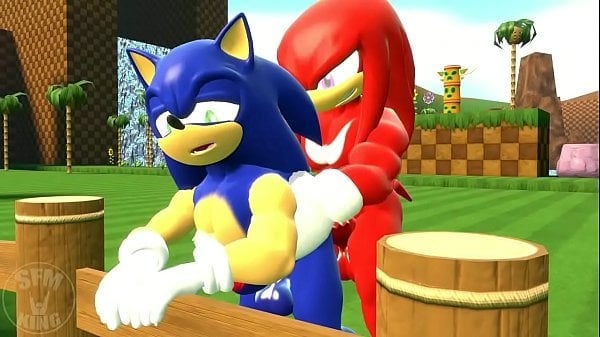 Sonic and Knuckles Sex sonic the Hedgehog Knuckles the Echidna Gay Yiff sonic the Hedgehog Yiff [Sonic, Yiff]