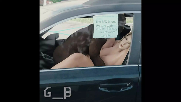 The Best Of GeneralButch Animated 3D Porn Compilation 137 [3D, Artists, Cartoon, Compilation, Hentai]